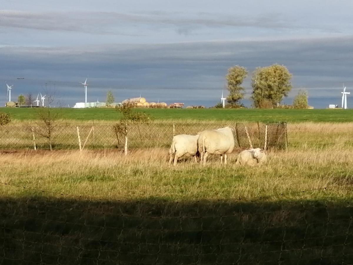 Edit Pension Rossau Buitenkant foto